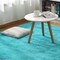 Soft Fluffy Thick Indoor Rug for Home Decor Living Room Bedroom